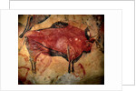 Painting in the cave of Altamira, 35,000 to 11,000 BC by Art of the Upper Paleolithic