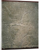 Winged deity by the sacred tree. Relief from the palace of Ashurnasirpal II at Kalhu, Nimrud, 9th century BC by Assyrian Art