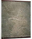 Winged deity by the sacred tree. Relief from the palace of Ashurnasirpal II at Kalhu, Nimrud, 9th century BC by Assyrian Art