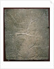 Winged deity by the sacred tree. Relief from the palace of Ashurnasirpal II at Kalhu, Nimrud, 9th century BC by Assyrian Art