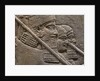 King Ashurnasirpal II during a royal lion hunt, 7th cen. BC by Assyrian Art