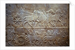 Ashurbanipal at the Battle of Til-Tuba, 650-620 BC by Assyrian Art