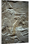 Ashurbanipal at the Battle of Til-Tuba, 650-620 BC by Assyrian Art