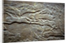Ashurbanipal at the Battle of Til-Tuba, 650-620 BC by Assyrian Art