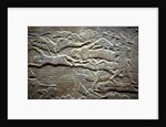 Ashurbanipal at the Battle of Til-Tuba, 650-620 BC by Assyrian Art