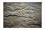 Ashurbanipal at the Battle of Til-Tuba, 650-620 BC by Assyrian Art