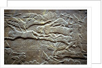 Ashurbanipal at the Battle of Til-Tuba, 650-620 BC by Assyrian Art