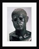Portrait of a Roman (Sextus Pompey?), 2 H. of 1th cen. BC by Classical Antiquities