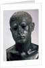 Portrait of a Roman (Sextus Pompey?), 2 H. of 1th cen. BC by Classical Antiquities