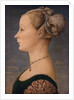 Portrait of a Woman, Second Half of the 15th cen by Piero del Pollaiuolo