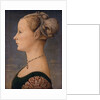 Portrait of a Woman, Second Half of the 15th cen by Piero del Pollaiuolo