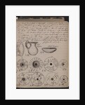 The Schliemanns diary contains sketches of discoveries, 1873 by Heinrich Schliemann