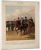 Officers of the 1st Guards Infantry Division of the Russian Imperial Guard, 1867 by Karl Karlovich Piratsky