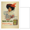 Poster for Kelloggs Cornflakes, 1910 by Benjamin Tichtman