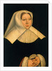 Portrait of Margaret of Austria, ca 1530 by Lucas Cranach the Elder