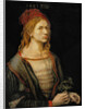 Self-Portrait, 1493 by Albrecht Dürer