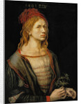 Self-Portrait, 1493 by Albrecht Dürer