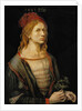 Self-Portrait, 1493 by Albrecht Dürer
