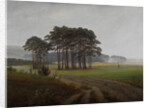 The times of day: The midday, 1821-1822 by Caspar David Friedrich