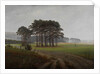 The times of day: The midday, 1821-1822 by Caspar David Friedrich