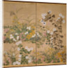 Flowering Plants in Autumn, 18th century by Ogata Korin