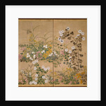 Flowering Plants in Autumn, 18th century by Ogata Korin