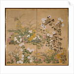 Flowering Plants in Autumn, 18th century by Ogata Korin