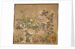 Flowering Plants in Autumn, 18th century by Ogata Korin