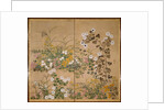Flowering Plants in Autumn, 18th century by Ogata Korin