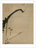 Plum Blossoms, 18th century by Ito Jakuchu