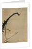 Plum Blossoms, 18th century by Ito Jakuchu