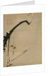 Plum Blossoms, 18th century by Ito Jakuchu