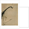 Plum Blossoms, 18th century by Ito Jakuchu