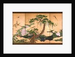 Birds and Flowers of Spring and Summer, Second Half of the 17th cen by Kano Eino