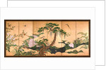 Birds and Flowers of Spring and Summer, Second Half of the 17th cen by Kano Eino
