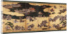 Battle scenes from the Tale of Heike (Heike Monogatari), First third of 17th cen by Anonymous