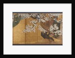 Wind-screen and cherry tree by Anonymous