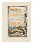 A Poison Tree. Songs of Innocence and of Experience, ca 1825 by William Blake