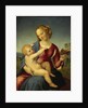 Madonna Colonna, 1508 by Raphael