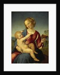 Madonna Colonna, 1508 by Raphael