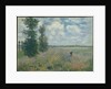 Poppy Fields near Argenteuil, 1875 by Claude Monet