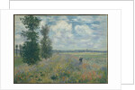 Poppy Fields near Argenteuil, 1875 by Claude Monet