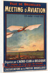 Meeting dAviation, 1910 by Anonymous