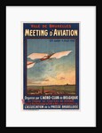Meeting dAviation, 1910 by Anonymous
