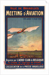 Meeting dAviation, 1910 by Anonymous