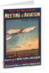 Meeting dAviation, 1910 by Anonymous