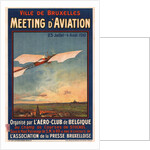 Meeting dAviation, 1910 by Anonymous