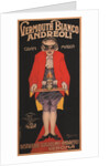 Vermouth Bianco Andreoli, 1919 by Attilio Bresciani