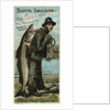 Scotts Emulsion, 1880 by August Gast