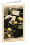 Miss Träumerei: A Weimar Idyl, 1895 by Ethel Reed
